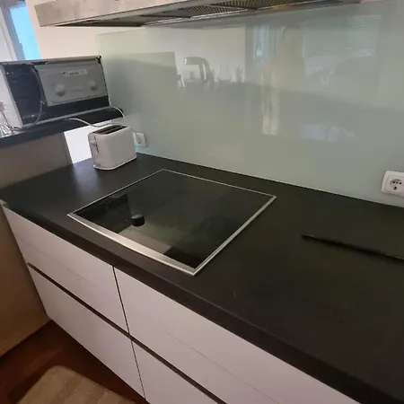 Mountain View Spacious With 2 Parking Daire İnnsbruck